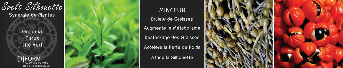 Svelt Silhouette Djform, Minceur Svelt Silhouette Djform, Minceur