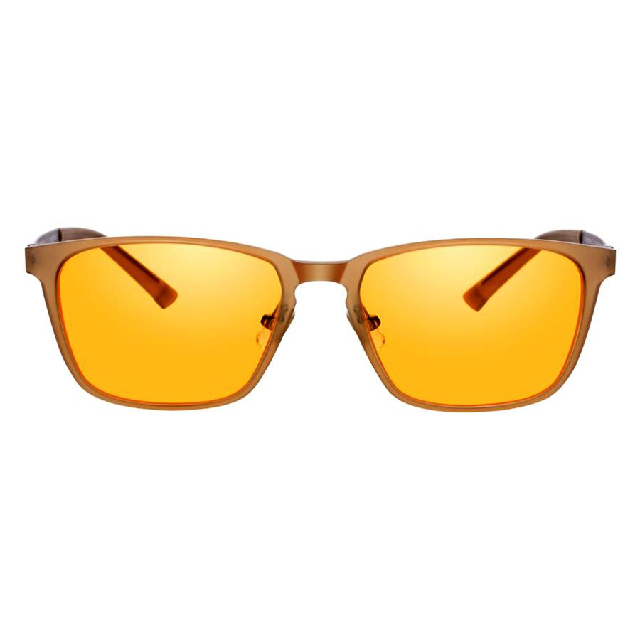 FRANKFURT PRO - PRiSMA® BlueLightProtect - Lunettes de Protection Lumière Bleue