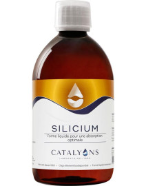 catalyons silicium