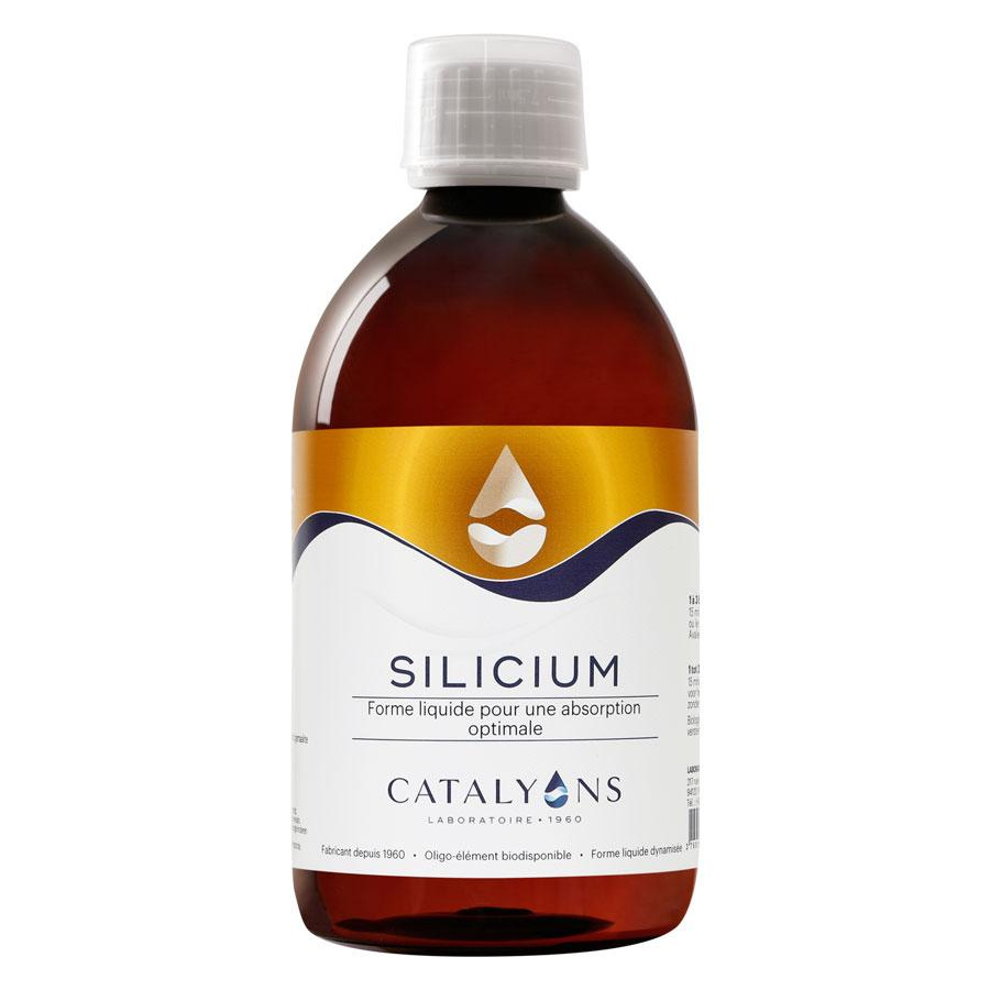 catalyons silicium catalyons silicium