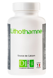 Lithotame 240 gélules djform