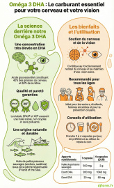 Omega 3 DHA en image