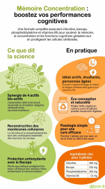 Mémoire Concentration en image