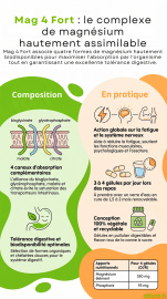 Mag 4 Fort en image