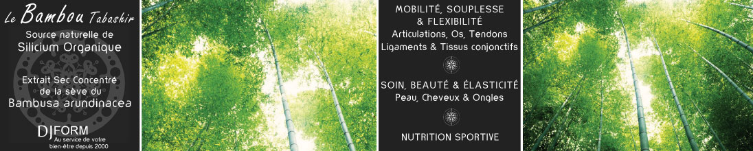 Bambou tabashir, silicium organique, bien-être articulations, os, beauté de la peau, des ongles et des cheveux