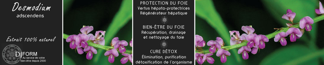 Desmodium djform, bien-être du foie, cure régénératrice et détox