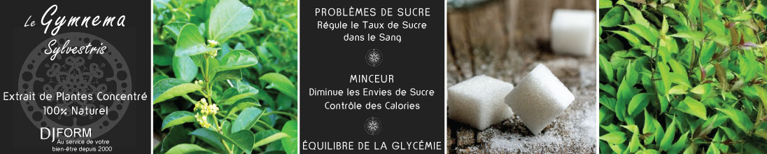 Gymnema sylvestris, complément alimentaire Djform, dépendance au sucre, glycémie, minceur