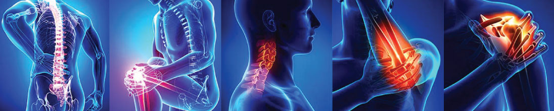 harpagophytum, Complément alimentaire Djform articulations