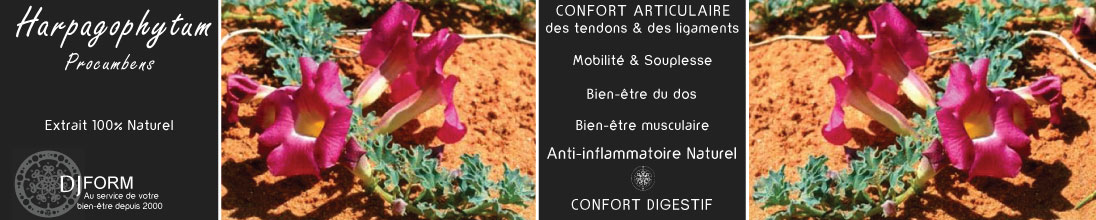 Harpagophytum Procumbens, confort des articulations, des muscles et des tendons, digestion