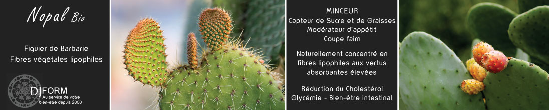 Nopal Bio Djform, aide minceur, capteur de graisses et de sucre, cholestérol