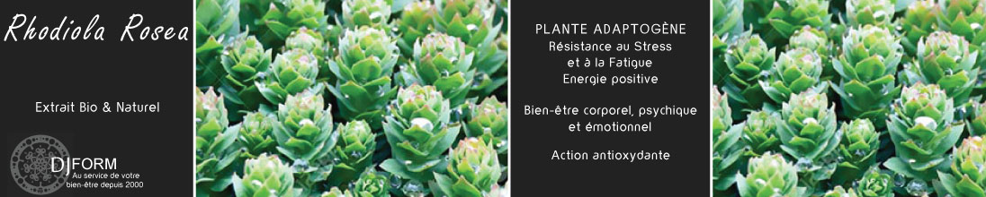 Rhodiola Rosea Bio, extrait sec, plante adaptogène, fatigue, anti-stress, forme, énergie positive
