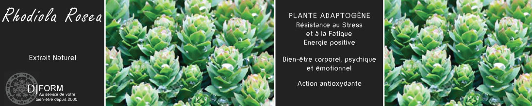 Rhodiola Rosea Bio, extrait sec, plante adaptogène, fatigue, anti-stress, forme, énergie positive