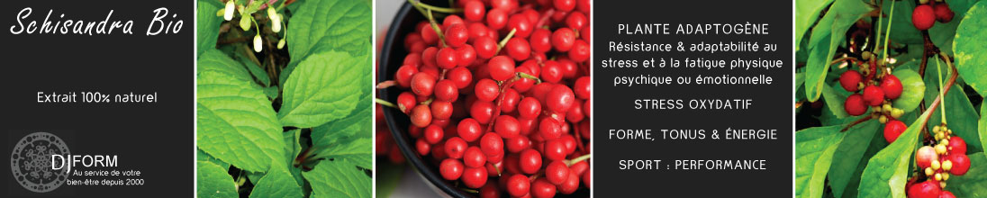 Schisandra Bio Djform, extrait concentré, forme, énergie, sport, libido, plante adaptogène