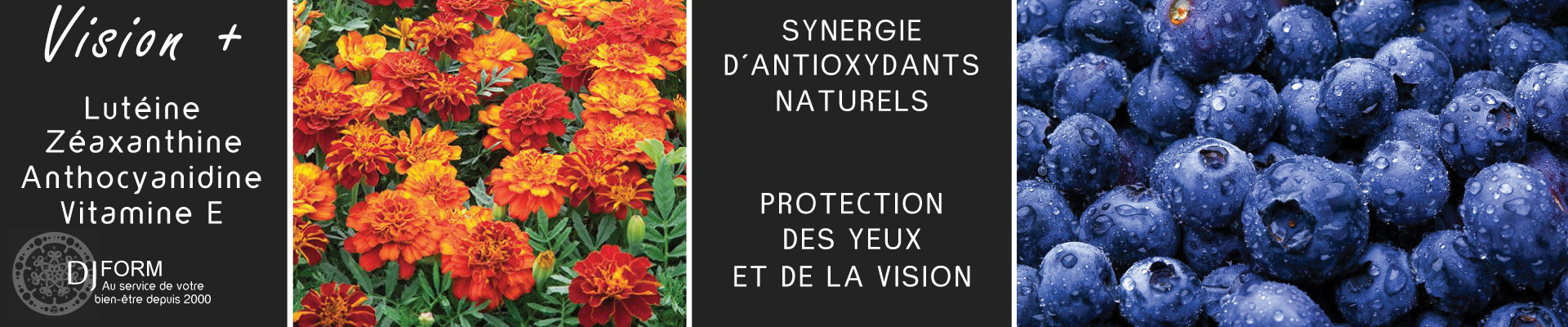 Complément Alimentaire Luthéine, Zéaxanthine & Vitamine C - Soutien Des Yeux Et De La Vision - Coolkin